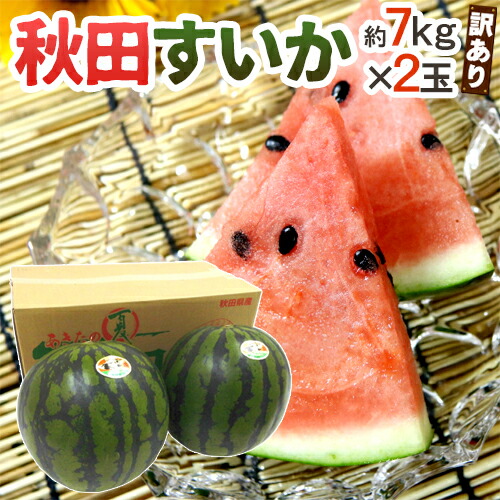 秋田県 ”秋田すいか” 訳あり 約7kg以上×2玉【予約 7月下旬～8月以降】 送料無料