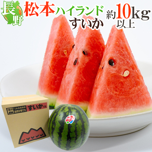 長野県 ”松本ハイランドすいか” 秀品 約10～11kg以上【予約 7月下旬以降】 送料無料