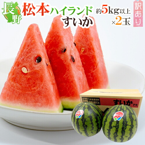 長野県 ”松本ハイランドすいか” 訳あり 約5kg以上×2玉【予約 7月下旬以降】 送料無料