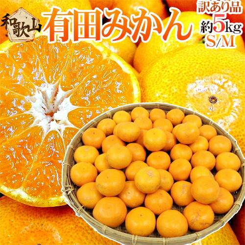楽天市場】”和歌山産 有田みかん” 訳あり L〜LLサイズ 約5kg ありだ