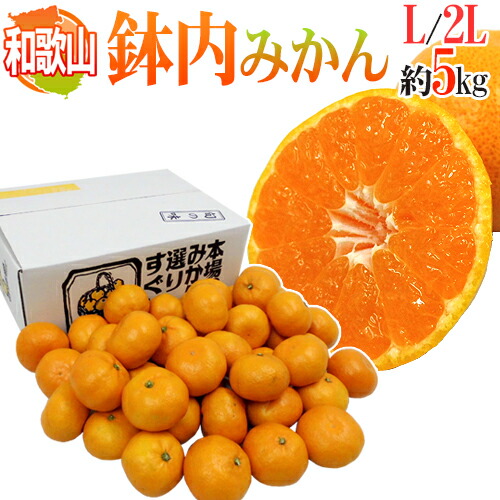 ●みかん●家具 999-hatil2l5kg01.jpg