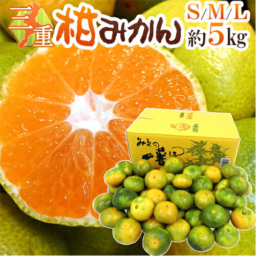 はるみ Mサイズ 10kg 和歌山産 秀品 由良仙人 楽天市場】”和歌山みかん” 秀品 S〜Mサイズ 約10kg【予約 11月末