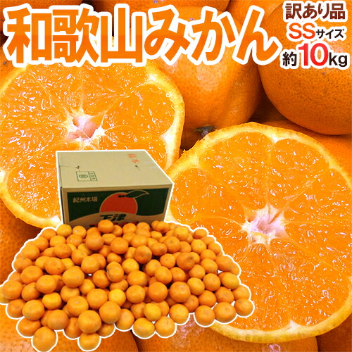 楽天市場】”和歌山みかん” 訳あり 小粒・小玉 SSサイズ 約5kg【予約 11