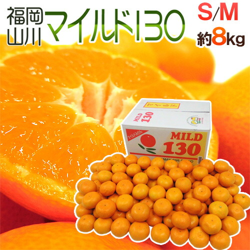 楽天市場】山川みかん ”福岡産 マイルド130” 秀品 小粒2Sサイズ 約8kg