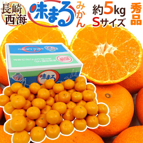 イラン、シルク銀柑敷物/サイズ:50x80cm…..mp5. 楽天市場】長崎 西海 ”味まるみかん” 秀品 Lサイズ 約5kg 産地化粧箱