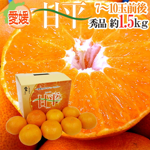 楽天市場】愛媛県中島産 ”甘平” 最高等級 匠と極 2L/3L 約3kg 化粧