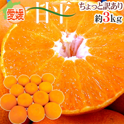 【ミキ】大玉甘平6Kg＊２箱 【２箱括りでの発送】 楽天市場】愛媛産 ”甘平” 秀品 L〜2L 12〜15玉 約3kg 化粧箱【予約 1月