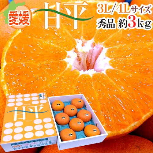 楽天市場】愛媛県中島産 ”甘平” 最高等級 匠と極 2L/3L 約3kg 化粧