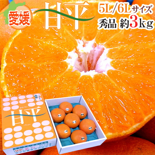 楽天市場】愛媛産 ”甘平” 秀品 L〜2L 12〜15玉 約3kg 化粧箱【予約 1月