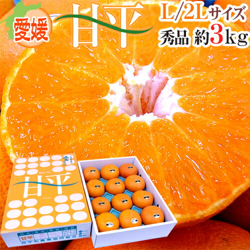 楽天市場】愛媛産 ”甘平 愛媛Queenスプラッシュ” 特秀品 2Lサイズ以上