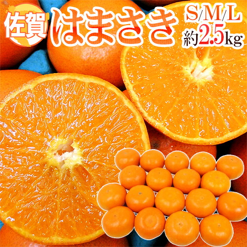 楽天市場】はまさき みかん S-M (約5kg) 佐賀産 赤秀 みかん はまさき