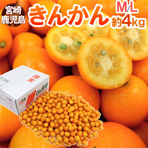 金柑 湘南ゴールド」 from 神奈川 | あぐりずむ～ニッポン いただき