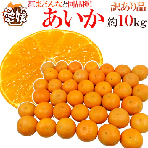 楽天市場】”愛媛産 紅まどんなと同じ品種 あいか” 訳あり 約2kg 大きさ