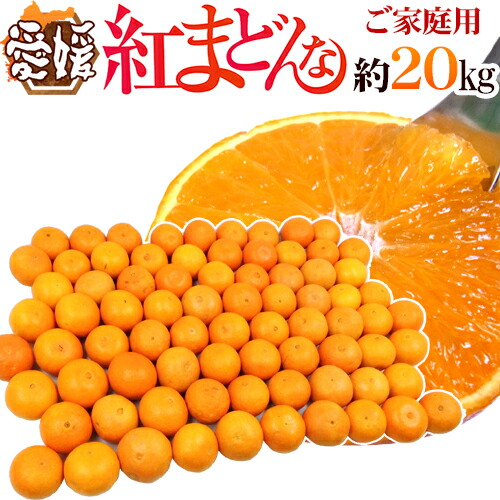 ここっこ　秀品まどんな4kg×２箱ぐるりん 楽天市場】愛媛産 ”紅まどんな” 秀品 2L〜4L 8〜12玉 約3kg【予約 12月