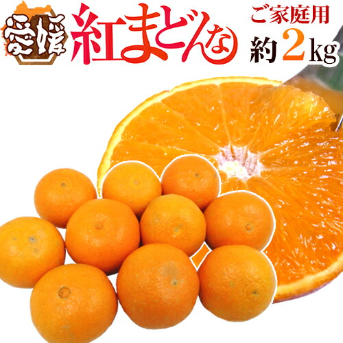 愛媛より　特大「紅まどんな」8玉化粧箱　3000gあっぷ 楽天市場】愛媛産 ”紅まどんな” 秀品 2L〜4L 8〜12玉 約3kg【予約 12月