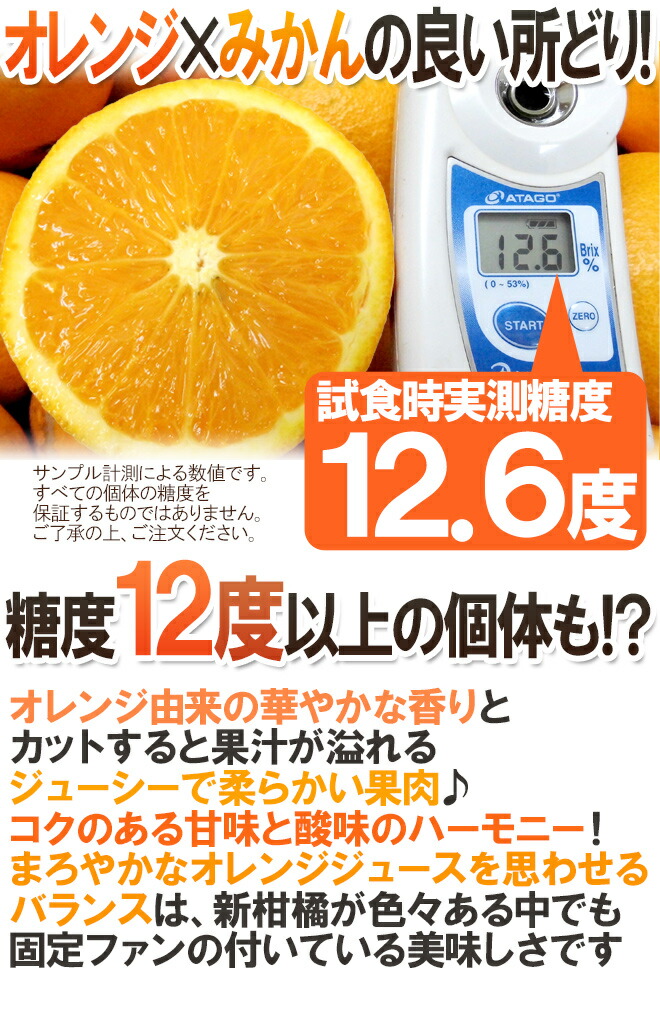 和歌山産 ”清見オレンジ” 訳あり 約10kg 大きさおまかせ【予約 3月以降】 和歌山産 ”清見オレンジ” 訳あり 約10kg 大きさおまかせ【予約 3月以降】