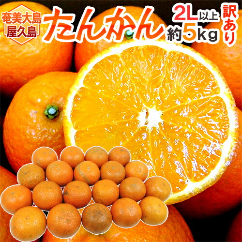 楽天市場】奄美大島・屋久島産 ”たんかん” 訳あり M〜L 約5kg【予約 2