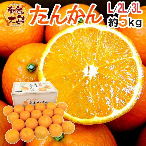 046-tan5kgk01.jpg