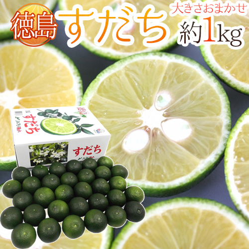 楽天市場】徳島産すだち 酢橘 1kg/箱 2025年（徳島産）【送料無料