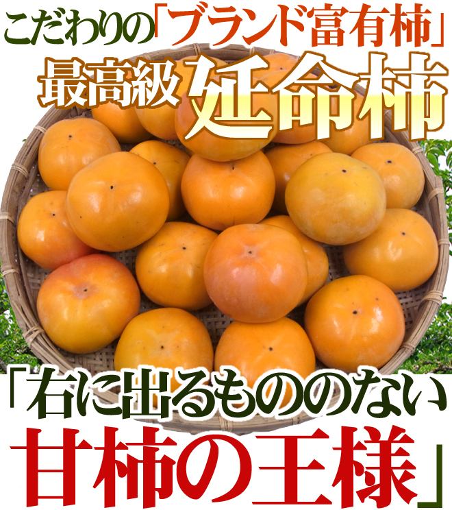 クリアランスsale!期間限定! 奈良産 ”延命富有柿” 秀品 2L〜3L 24〜28玉 約7.5kg 送料無料 www.tsujide.co.jp