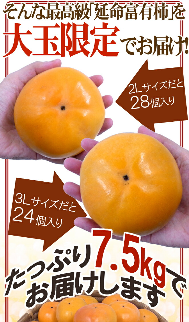 クリアランスsale!期間限定! 奈良産 ”延命富有柿” 秀品 2L〜3L 24〜28玉 約7.5kg 送料無料 www.tsujide.co.jp