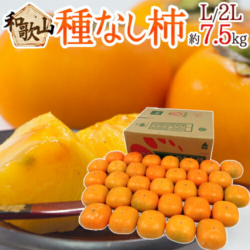 楽天市場】”和歌山みかん” 秀品 S〜Mサイズ 約10kg【予約 11月末