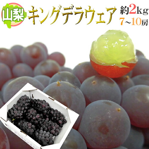 山梨産 種なしぶどう ”キングデラウェア” 7～10房前後 約2kg【予約 5月下旬以降】 送料無料