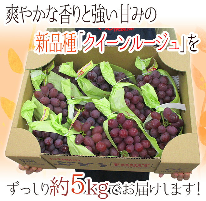 ぶどう 長野県 ”クイーンルージュ” 4pc 赤ぶどう 秀品 パック入り 約1.4kg 送料無料