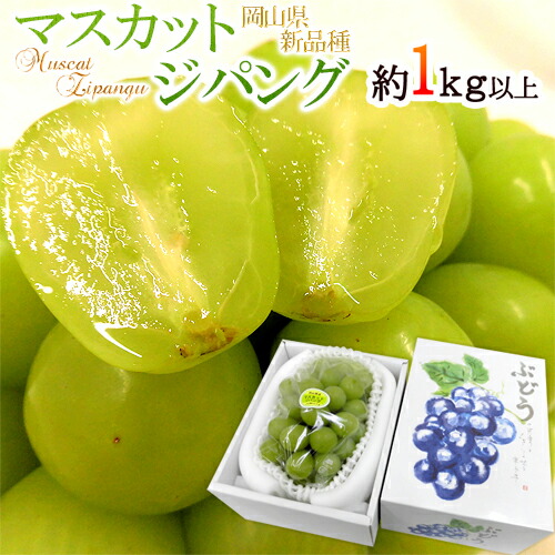 ”岡山産 マスカット・ジパング” 秀品 1房 約1kg以上 化粧箱 皮ごと食べられる種なしぶどう【予約 9月中旬以降】 送料無料画像