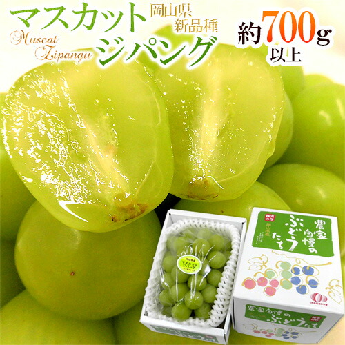岡山産 ”マスカット・ジパング” 秀品 1房 約700g以上 化粧箱 皮ごと食べられる種なしぶどう【予約 9月中旬以降】 送料無料画像