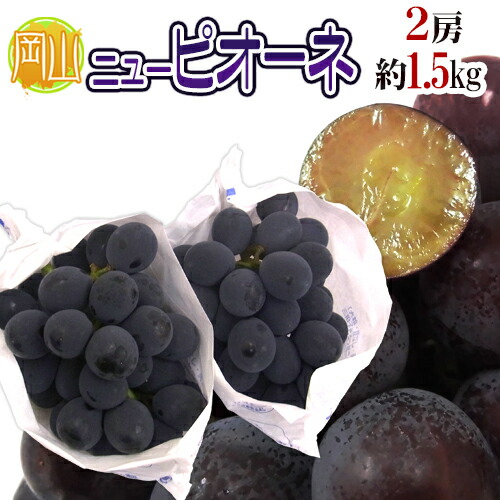 岡山産 種なしぶどう ”ニューピオーネ” 秀品 特大2房 約1.5kg【予約 7月下旬以降】 送料無料