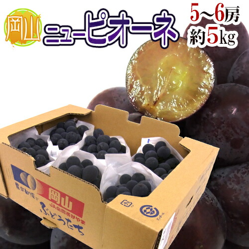 岡山産 種なし &rdquo;ニューピオーネ&rdquo; 秀品 特大5～6房 約5kg【予約 7月下旬以降】 送料無料｜くらし快援隊～母の日父の日お中元