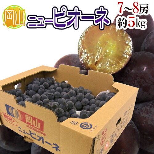 岡山産 種なしぶどう ”ニューピオーネ” 秀品 特大7～8房 約5kg【予約 7月下旬以降】 送料無料