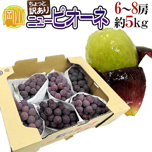 岡山産 &rdquo;種なしニューピオーネ&rdquo; 6～8房 約5kg ちょっと訳あり ぶどう【予約 9月以降】 送料無料｜くらし快援隊～母の日父の日お中元 9,344円