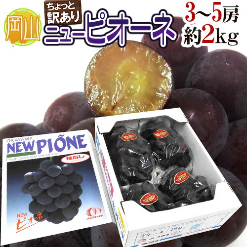 岡山産 ”種なしニューピオーネ” 3～5房 約2kg ちょっと訳あり 化粧箱 ぶどう【予約 7月中旬以降】 送料無料