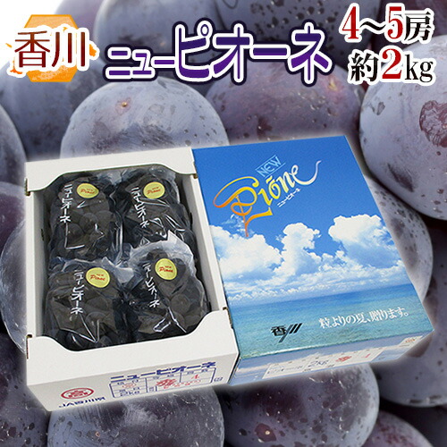 香川産 種なしぶどう ”ニューピオーネ” 秀品 4～5房 約2kg 化粧箱 種なしピオーネ【予約 7月中旬以降】 送料無料