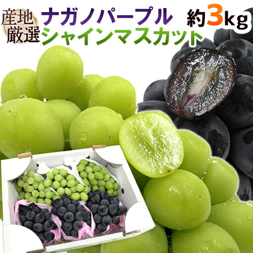 ”シャインマスカット&ナガノパープル” 秀品 合計約3kg 産地厳選 食べ比べ ぶどう 送料無料