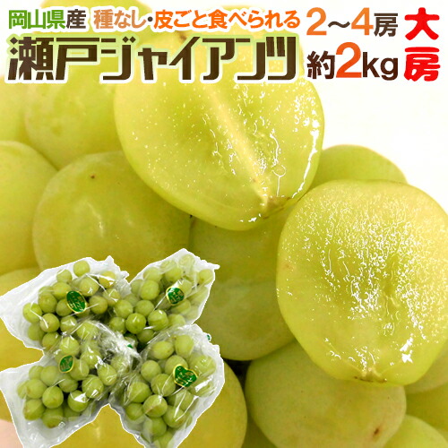 楽天市場】岡山産 ”瀬戸ジャイアンツ” 大房限定 2〜4房 約2kg