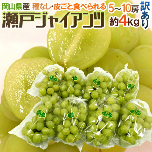 楽天市場】”シャインマスカット” ちょっと訳あり 約5kg 大きさおまかせ ...