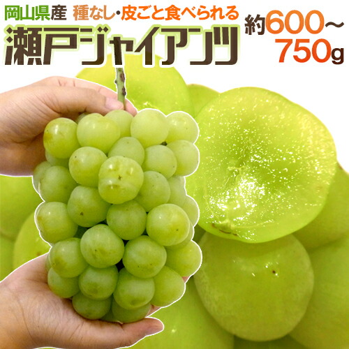 葡萄 縁起物 高級調度品 葡萄 縁起物 高級調度品 楽天市場】☆倉庫移転の為、在庫処分