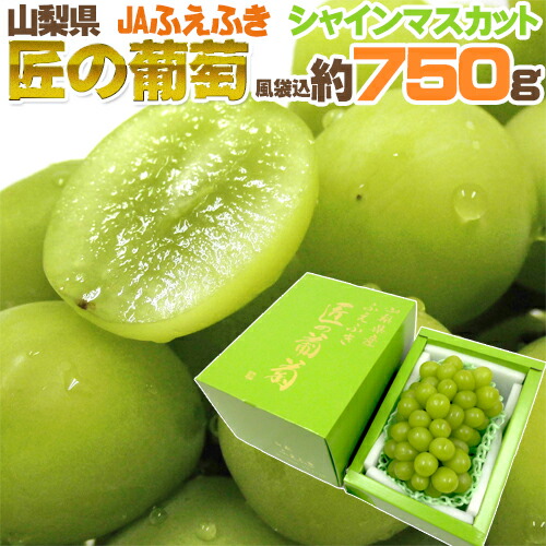 山梨産 ”シャインマスカット「匠の葡萄」” 超大房約750g 1房 化粧箱 ぶどう【予約 7月以降】 送料無料
