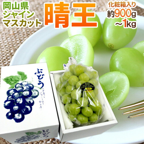 岡山産 ”シャインマスカット「晴王」” 超大房 1房 約900g～1kg 化粧箱 ぶどう【予約 7月下旬以降】 送料無料