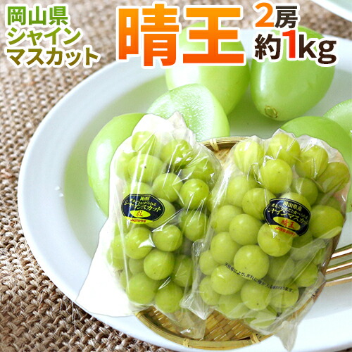 岡山産 ”シャインマスカット「晴王」” 2房 約1kg ぶどう【予約 7月下旬以降】 送料無料