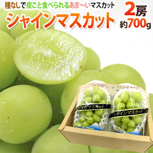 ”温室シャインマスカット” 秀品 約350g以上×《2pc》 化粧箱入り 産地厳選【お中元・予約 7月以降】 送料無料