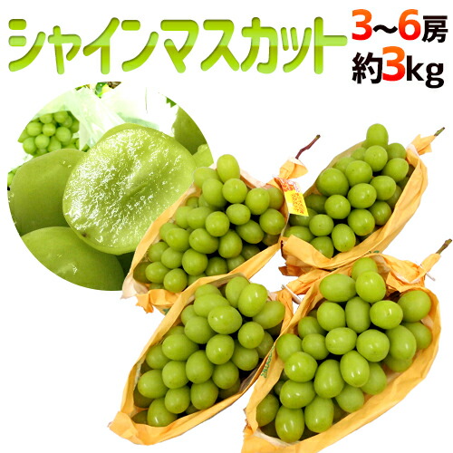楽天市場】”シャインマスカット” 秀品 大房限定 3〜6房 約3kg