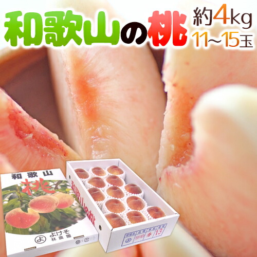 紀州 和歌山の ”桃” 秀品 大玉11～15玉入り 約4kg【予約 7月以降】 送料無料