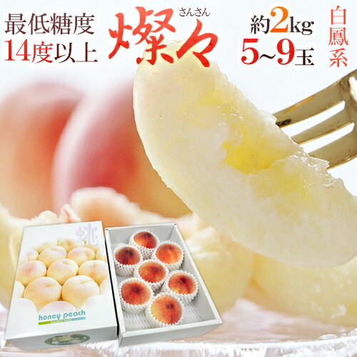 究極の桃 ”和歌山県 燦々（さんさん）” 大玉6～7玉前後 風袋込約2kg 化粧箱 糖度14度以上【予約 7月中旬以降】 送料無料