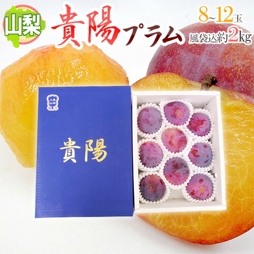 山梨産 ”貴陽” 8～12玉 約2kg（風袋込）化粧箱 プラム【予約 7月以降】 送料無料