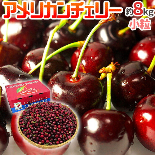 アメリカ産 ”アメリカンチェリー” 小粒 約8kg【予約 5月下旬以降】 送料無料