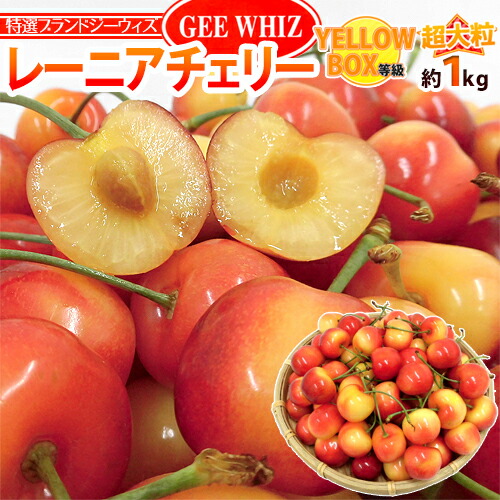 ”アメリカ産 ジーウィズ レーニアチェリー” 約1kg イエロー等級 さくらんぼ【予約 6月下旬以降】 送料無料